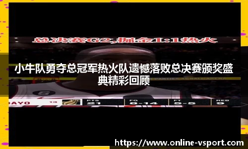 小牛队勇夺总冠军热火队遗憾落败总决赛颁奖盛典精彩回顾